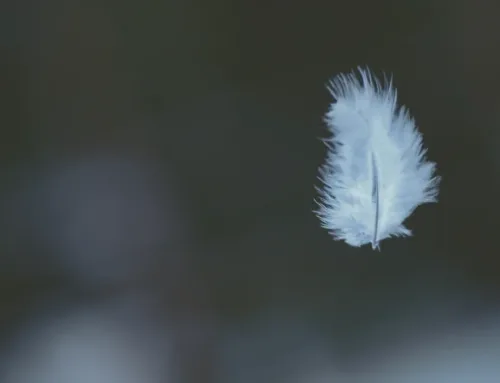 Why Forgiveness Is Key to Emotional Recovery and Inner Peace