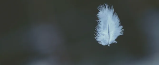 Why Forgiveness Is Key to Emotional Recovery and Inner Peace