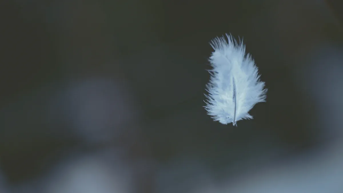 Why Forgiveness Is Key to Emotional Recovery and Inner Peace