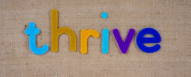 Thriving Through Uncertainty with Simple Steps